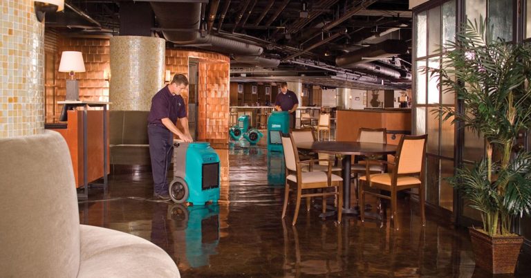 local water damage company Everett, WA